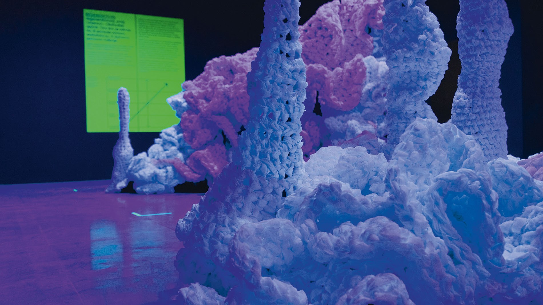 Ausstellung „Imagine Coral Reef. Regenerative Design“