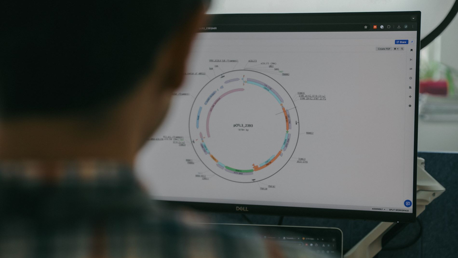 Databases provide the color gene