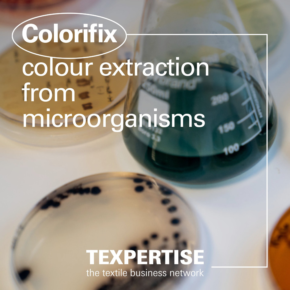 txp-colorifix-teaser