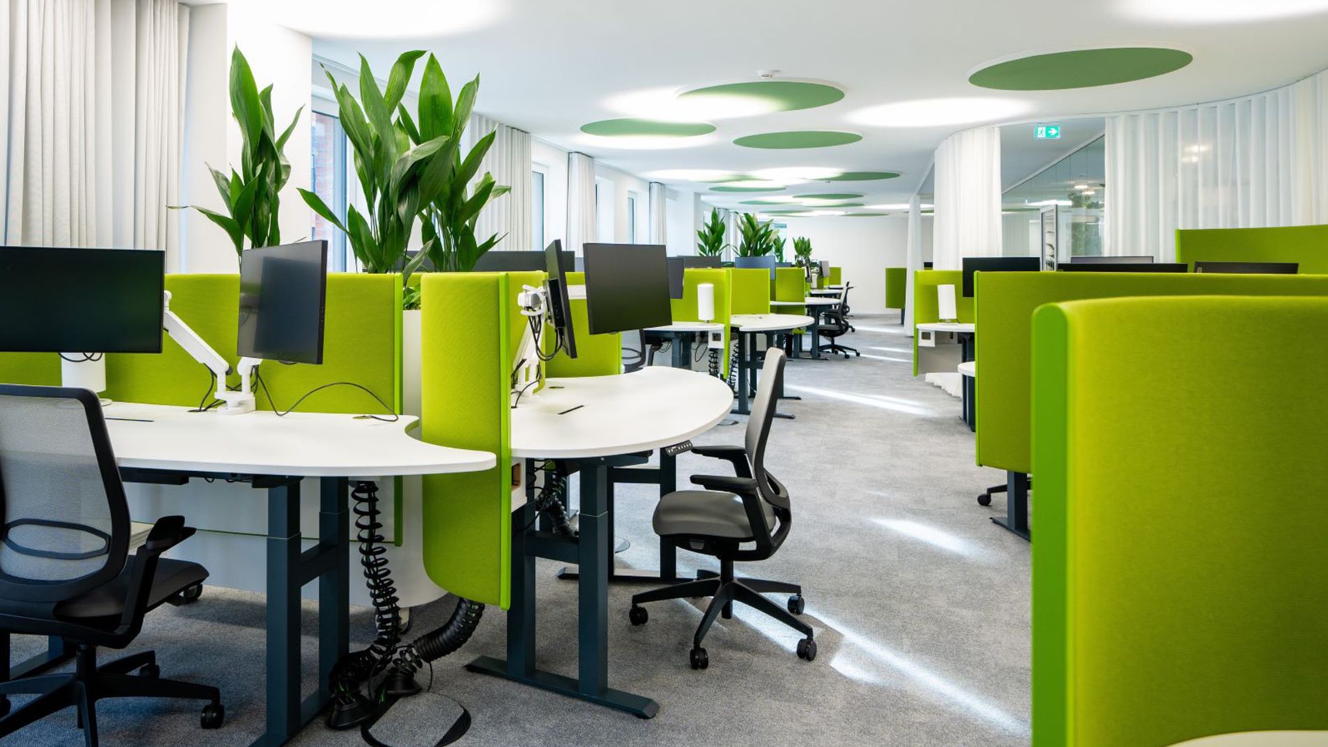 Modern open-plan office with green acoustic panels, plants, and ergonomic workstations.