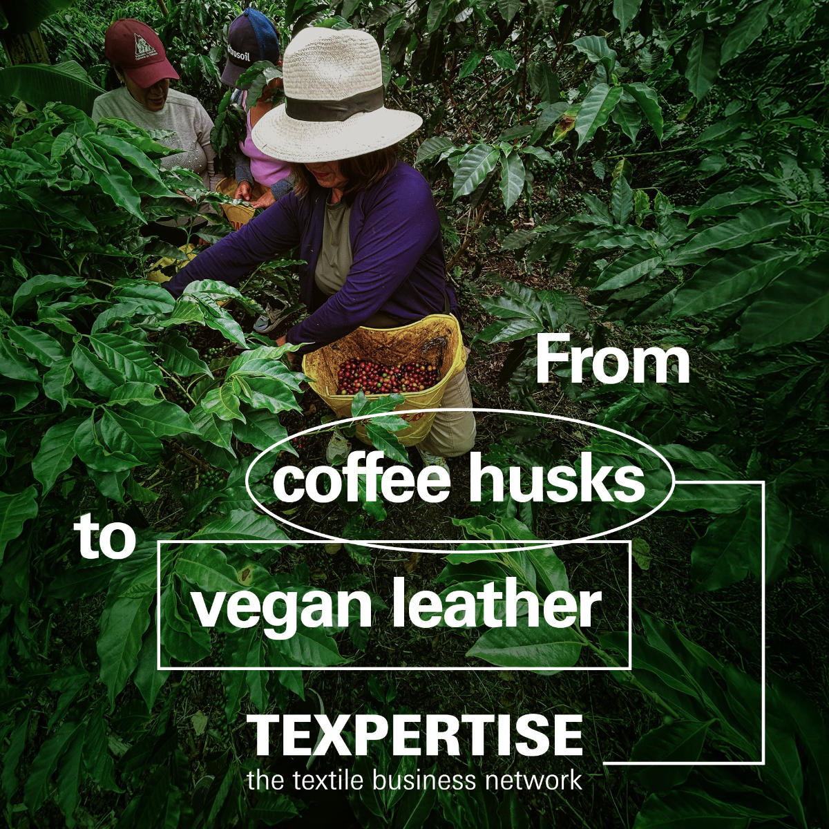 txp-coffee-husks-vegan-leather-colombia-teaser
