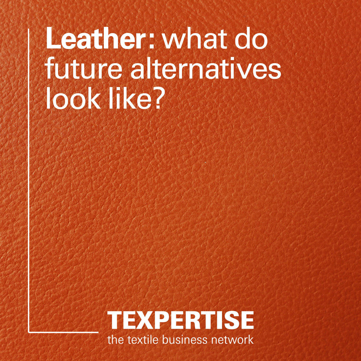txp-leather-interiordesign-teaser