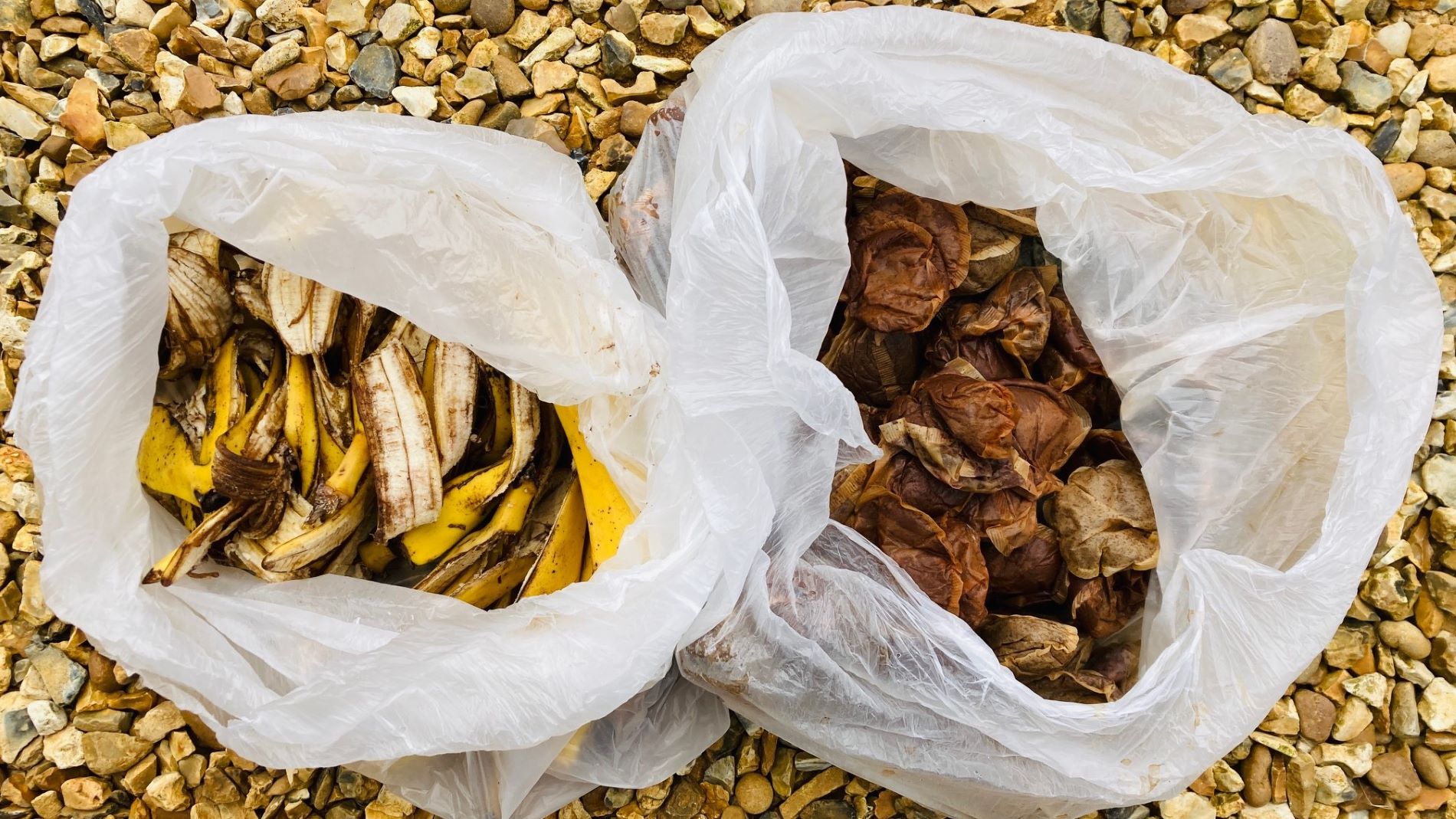 Waste tea bag and banana skin