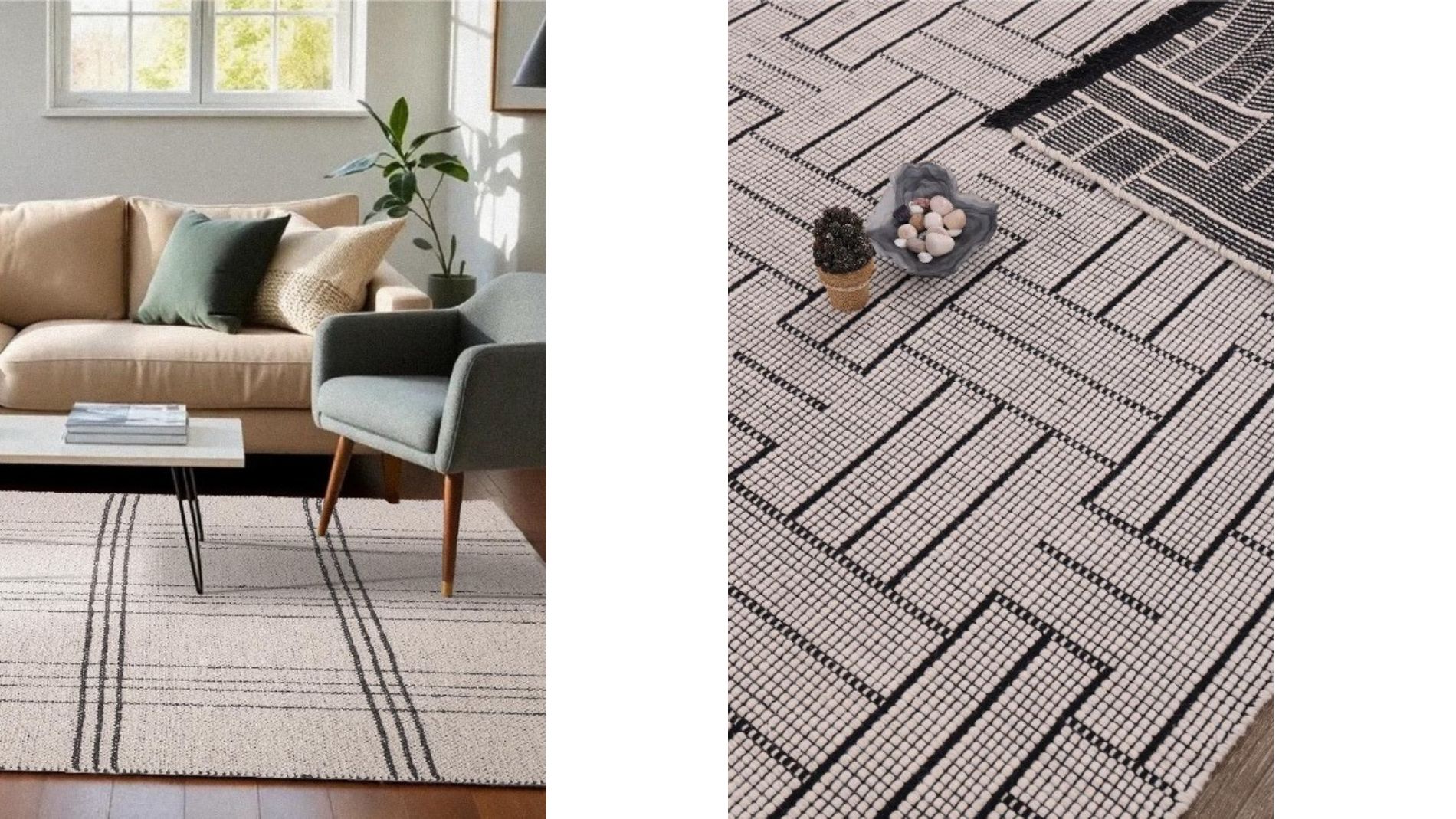 Living room with sofa, plants, and black-and-white patterned rug