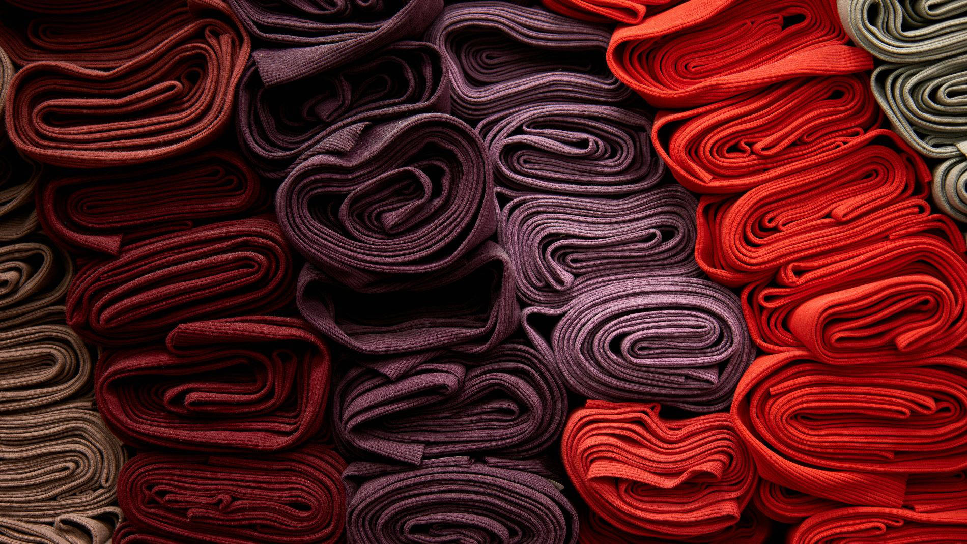 txp-econogy-transparency-background