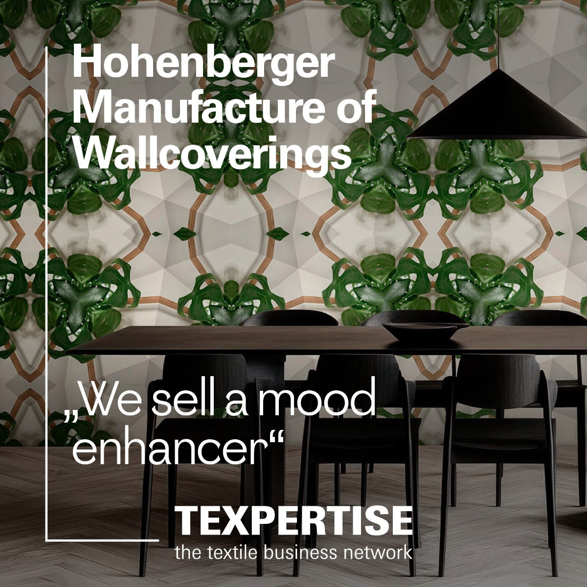 txp-hohenberger-teaser