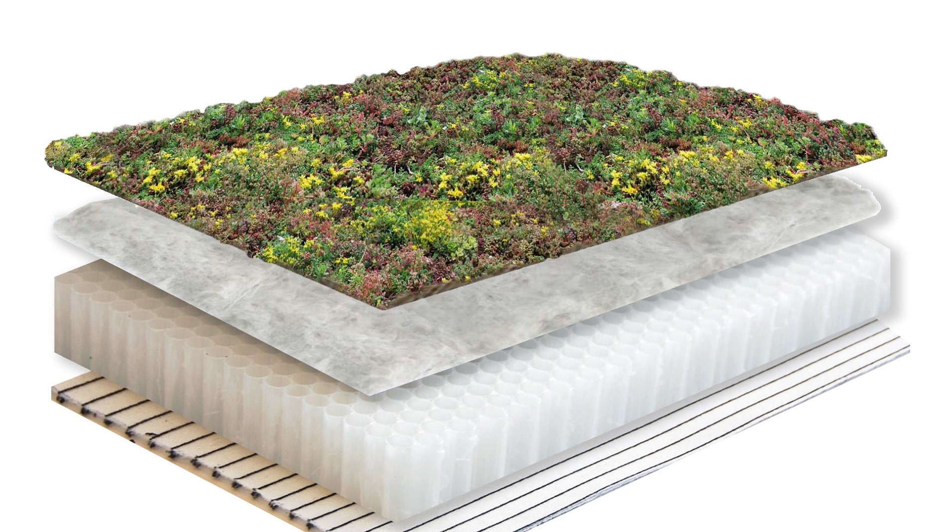 Installation of a green roof based on the Purple Roof concept