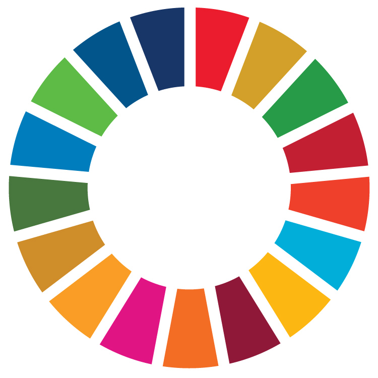 Logo SDG Wheel