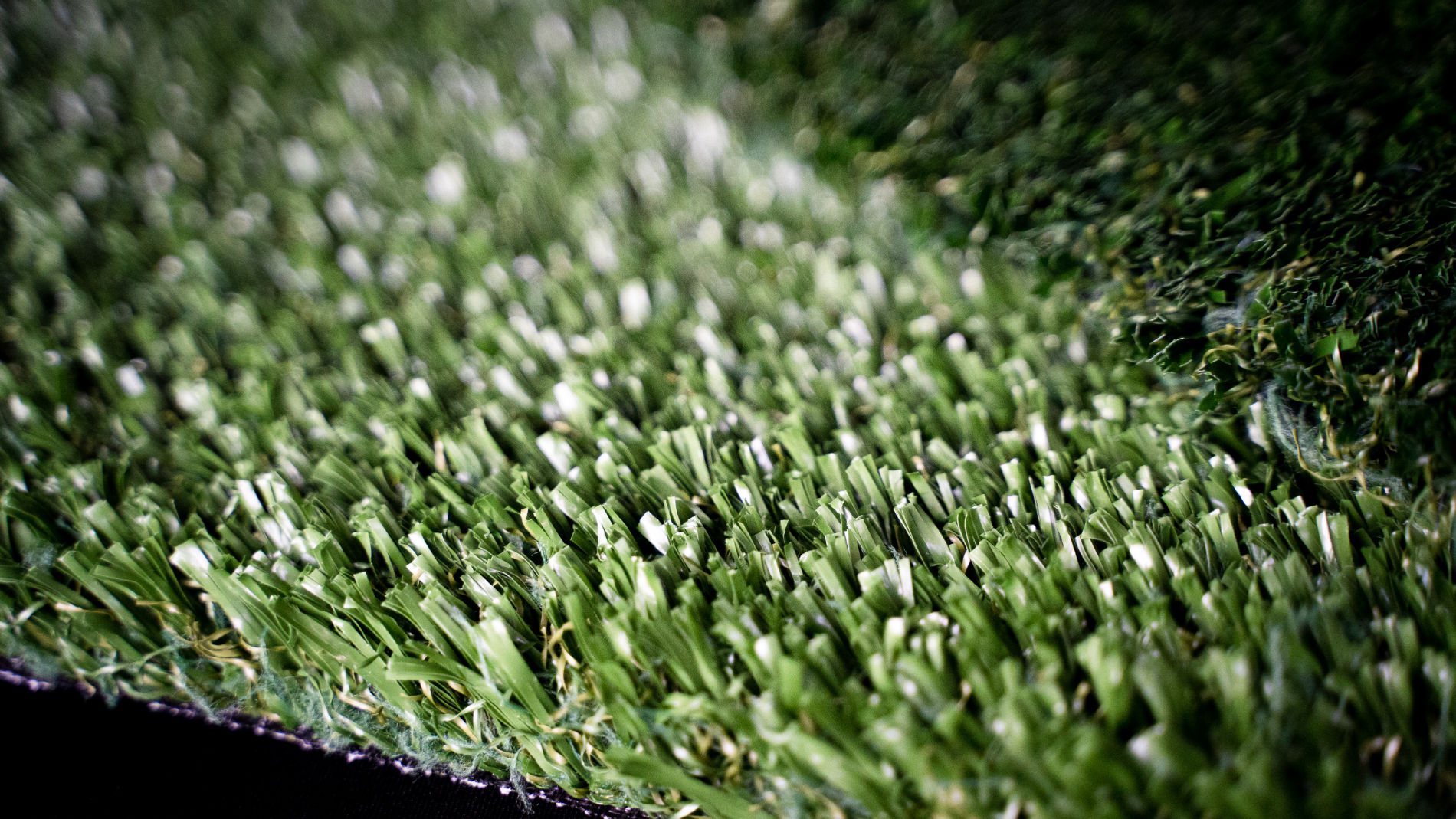 The eco-based artificial grass BioTurf